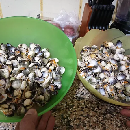 Appartamento La Casa Di Titi
